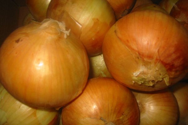 Что продает кракен