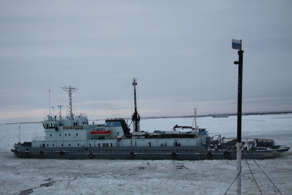 Kraken зеркало даркнет